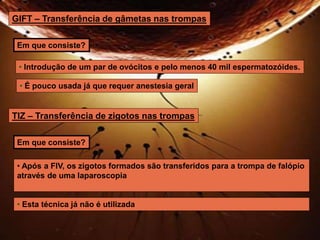 GIFT – Transferência de gâmetas nas trompas 
Em que consiste? 
• Introdução de um par de ovócitos e pelo menos 40 mil espermatozóides. 
• É pouco usada já que requer anestesia geral 
TIZ – Transferência de zigotos nas trompas 
Em que consiste? 
• Após a FIV, os zigotos formados são transferidos para a trompa de falópio 
através de uma laparoscopia 
• Esta técnica já não é utilizada 
 