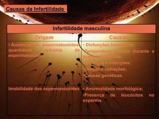 Causas da Infertilidade 
Infertilidade masculina 
Origem Causas 
• Ausência de espermatozóides/ 
quantidade reduzida de 
espermatozóides 
• Disfunções hormonais; 
•Temperatura elevada durante a 
espermatogénese; 
• Doenças e infecções; 
•Drogas e radiações; 
•Causas genéticas. 
Imobilidade dos espermatozóides • Anormalidade morfológica; 
•Presença de leucócitos no 
esperma. 
 