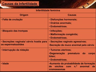 Causas da Infertilidade 
Infertilidade feminina 
Origem Causas 
• Falta de ovulação • Disfunções hormonais; 
• Ovários anormais; 
• Endometriose. 
• Bloqueio das trompas • Infecções; 
• Malformação congénita; 
• Endometriose. 
• Secreções vaginais/ cérvix hostis para 
os espermatozóides 
• Secreções vaginais agressivas; 
•Secreção de muco anormal pelo cérvix 
• Interrupção da nidação • Tumores uterinos; 
•Degeneração prematura do corpo 
lúteo; 
• Endometriose. 
• Idade •Aumento da probabilidade de formação 
de oócitos com n.º anormal de 
cromossomas 
 