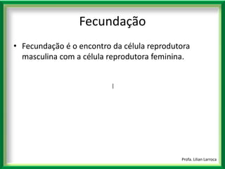 |Profa. Lilian LarrocaFecundaçãoFecundação é o encontro da célula reprodutora masculina com a célula reprodutora feminina. 