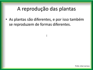 |Profa. Lilian LarrocaA reprodução das plantasAs plantas são diferentes, e por isso também se reproduzem de formas diferentes. 