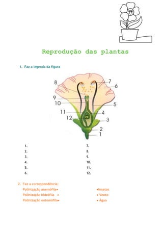 4612640-824230<br />Reprodução das plantas<br />,[object Object]