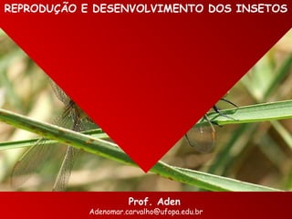 REPRODUÇÃO E DESENVOLVIMENTO DOS INSETOS
Prof. Aden
Adenomar.carvalho@ufopa.edu.br
 