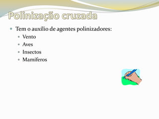 Polinização cruzadaTem o auxílio de agentes polinizadores:VentoAvesInsectosMamíferos