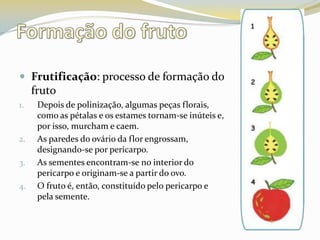 Formação do frutoFrutificação: processo de formação do frutoDepois de polinização, algumas peças florais, como as pétalas e os estames tornam-se inúteis e, por isso, murcham e caem. As paredes do ovário da flor engrossam, designando-se por pericarpo. As sementes encontram-se no interior do pericarpo e originam-se a partir do ovo. O fruto é, então, constituído pelo pericarpo e pela semente. 