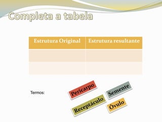 Completa a tabelaPericarpoSementeTermos:ÓvuloReceptáculo
