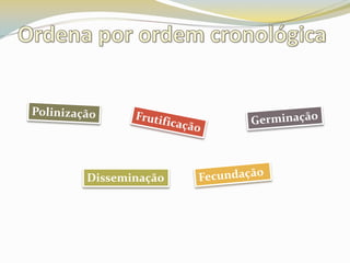 Ordena por ordem cronológicaPolinizaçãoGerminaçãoFrutificaçãoFecundaçãoDisseminação