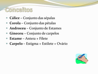 ConceitosCálice – Conjunto das sépalasCorola – Conjunto das pétalasAndroceu – Conjunto de EstamesGineceu – Conjunto de carpelosEstame – Antera + FileteCarpelo – Estigma + Estilete + Ovário