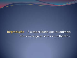Reprodução– é a capacidade que os animais têm em originar seres semelhantes.