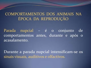 COMPORTAMENTOS  DOS  ANIMAIS  NA ÉPOCA  DA  REPRODUÇÃOParada nupcial – é o conjunto de comportamentos antes, durante e após o acasalamento.Durante a parada nupcial intensificam-se os sinais visuais, auditivos e olfactivos.