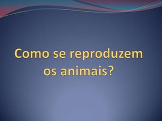 Como se reproduzem os animais? 