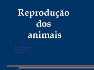 Bernardo e Vitor Turma: 181ª Biologia Reprodução  dos  animais 