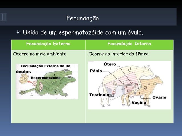 Reprodução dos animais | PPT