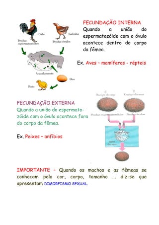 Reprodução dos animais | PDF