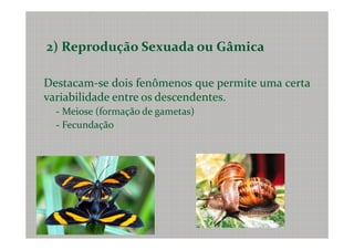2) Reprodução Sexuada ou Gâmica

Destacam-se dois fenômenos que permite uma certa
variabilidade entre os descendentes.
  - Meiose (formação de gametas)
  - Fecundação
 