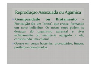 Gemiparidade     ou      Brotamento        –
Formação de um “broto”, que cresce, formando
um novo indivíduo. Os novos seres podem se
destacar do organismo parental e viver
isoladamente ou manter-se agregado a ele,
constituindo uma colônia.
Ocorre em certas bactérias, protozoários, fungos,
poríferos e celenterados.
 