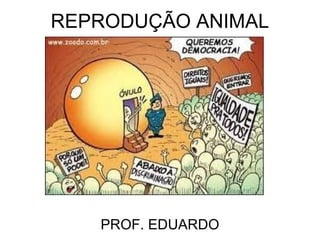 REPRODUÇÃO ANIMAL




   PROF. EDUARDO
 