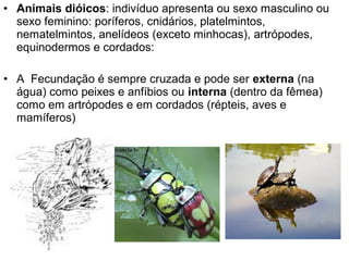 • Animais dióicos: indivíduo apresenta ou sexo masculino ou
  sexo feminino: poríferos, cnidários, platelmintos,
  nematelmintos, anelídeos (exceto minhocas), artrópodes,
  equinodermos e cordados:

• A Fecundação é sempre cruzada e pode ser externa (na
  água) como peixes e anfíbios ou interna (dentro da fêmea)
  como em artrópodes e em cordados (répteis, aves e
  mamíferos)
 