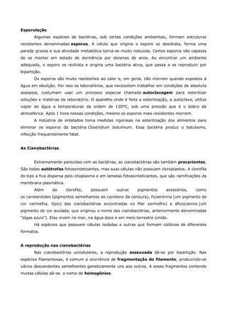 Esporulação
       Algumas espécies de bactérias, sob certas condições ambientais, formam estruturas
resistentes denominadas esporos. A célula que origina o esporo se desidrata, forma uma
parede grossa e sua atividade metabólica torna-se muito reduzida. Certos esporos são capazes
de se manter em estado de dormência por dezenas de anos. Ao encontrar um ambiente
adequado, o esporo se reidrata e origina uma bactéria ativa, que passa a se reproduzir por
bipartição.
       Os esporos são muito resistentes ao calor e, em geral, não morrem quando expostos à
água em ebulição. Por isso os laboratórios, que necessitam trabalhar em condições de absoluta
assepsia, costumam usar um processo especial chamado autoclavagem para esterilizar
soluções e matérias de laboratório. O aparelho onde é feita a esterilização, a autoclave, utiliza
vapor de água a temperaturas da ordem de 120ºC, sob uma pressão que é o dobro da
atmosférica. Após 1 hora nessas condições, mesmo os esporos mais resistentes morrem.
       A indústria de enlatados toma medidas rigorosas na esterilização dos alimentos para
eliminar os esporos da bactéria Clostridium botulinum. Essa bactéria produz o botulismo,
infecção frequentemente fatal.


As Cianobactérias


       Extremamente parecidas com as bactérias, as cianobactérias são também procariontes.
São todas autótrofas fotossintetizantes, mas suas células não possuem cloroplastos. A clorofila
do tipo a fica dispersa pelo citoplasma e em lamelas fotossintetizantes, que são ramificações da
membrana plasmática.
       Além     da     clorofila,   possuem       outros    pigmentos      acessórios,     como
os carotenóides (pigmentos semelhantes ao caroteno da cenoura), ficoeritrina (um pigmento de
cor vermelha, típico das cianobactérias encontradas no Mar vermelho) e aficocianina (um
pigmento de cor azulada, que originou o nome das cianobactérias, anteriormente denominadas
"algas azuis"). Elas vivem no mar, na água doce e em meio terrestre úmido.
       Há espécies que possuem células isoladas e outras que formam colônias de diferentes
formatos.


A reprodução nas cianobactérias
       Nas cianobactérias unicelulares, a reprodução assexuada dá-se por bipartição. Nas
espécies filamentosas, é comum a ocorrência de fragmentação do filamento, produzindo-se
vários descendentes semelhantes geneticamente uns aos outros. A esses fragmentos contendo
muitas células dá-se o nome de homogônios.
 