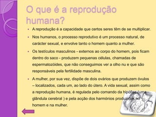 O que é a reprodução
humana?
   A reprodução é a capacidade que certos seres têm de se multiplicar.

   Nos humanos, o processo reprodutivo é um processo natural, de
    carácter sexual, e envolve tanto o homem quanto a mulher.

   Os testículos masculinos - externos ao corpo do homem, pois ficam
    dentro do saco - produzem pequenas células, chamadas de
    espermatozóides, que não conseguimos ver a olho nu e que são
    responsáveis pela fertilidade masculina.

   A mulher, por sua vez, dispõe de dois ovários que produzem óvulos
    – localizados, cada um, ao lado do útero. A vida sexual, assim como
    a reprodução humana, é regulada pelo comando da hipófise (uma
    glândula cerebral ) e pela acção dos harmónios produzidos no
    homem e na mulher.
 