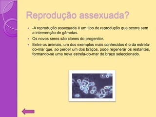 Reprodução assexuada?
   -A reprodução assexuada é um tipo de reprodução que ocorre sem
    a intervenção de gâmetas.
   Os novos seres são clones do progenitor.
   Entre os animais, um dos exemplos mais conhecidos é o da estrela-
    do-mar que, ao perder um dos braços, pode regenerar os restantes,
    formando-se uma nova estrela-do-mar do braço seleccionado.
 