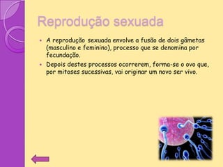 Reprodução sexuada
   A reprodução sexuada envolve a fusão de dois gâmetas
    (masculino e feminino), processo que se denomina por
    fecundação.
   Depois destes processos ocorrerem, forma-se o ovo que,
    por mitoses sucessivas, vai originar um novo ser vivo.
 