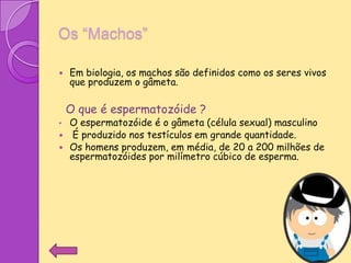 Os “Machos”

   Em biologia, os machos são definidos como os seres vivos
    que produzem o gâmeta.

    O que é espermatozóide ?
•   O espermatozóide é o gâmeta (célula sexual) masculino
    É produzido nos testículos em grande quantidade.
   Os homens produzem, em média, de 20 a 200 milhões de
    espermatozóides por milímetro cúbico de esperma.
 