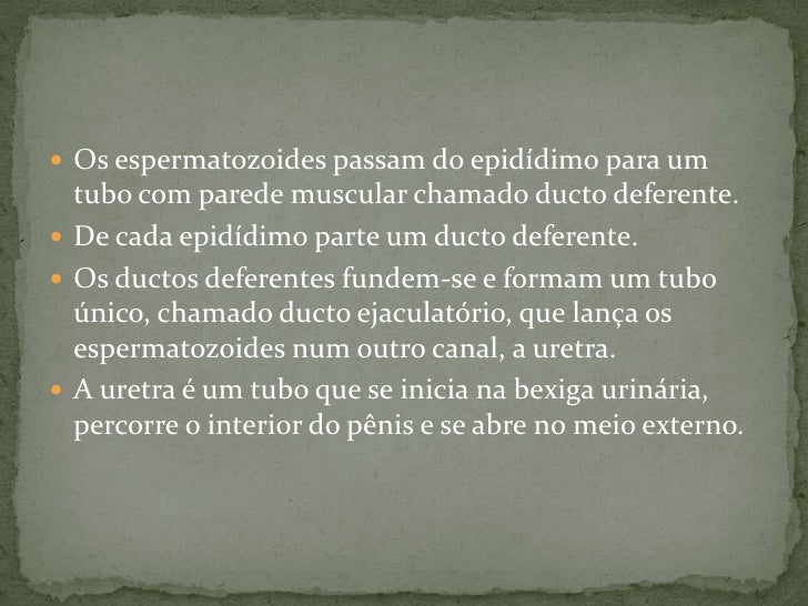 Como aumentar a entrada do sangue no membro