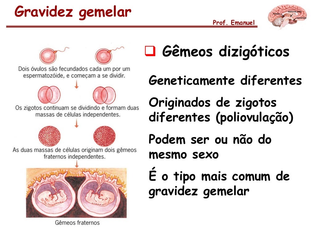 Qual é O Tipo De Reprodução Realizada Pelas Efeméridas
