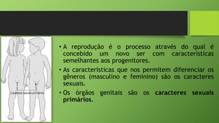 • A reprodução é o processo através do qual é
concebido um novo ser com características
semelhantes aos progenitores.
• As características que nos permitem diferenciar os
gêneros (masculino e feminino) são os caracteres
sexuais.
• Os órgãos genitais são os caracteres sexuais
primários.
 