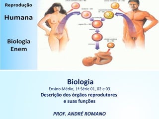 Biologia
Ensino Médio, 1ª Série 01, 02 e 03
Descrição dos órgãos reprodutores
e suas funções
PROF. ANDRÉ ROMANO
 