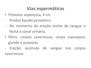 Vias espermáticas
• Próstata: esponjosa, 4 cm
- Produz líquido prostático
- No momento da ereção enche de sangue e
fecha o canal urinário.
• Pênis: corpos cavernosos, corpo esponjoso;
glande e prepúcio.
- Ereção: acúmulo de sangue nos corpos
cavernosos
 