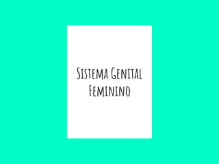 Sistema Genital
Feminino
 