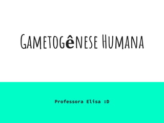 Gametogênese Humana
Professora Elisa :D
 