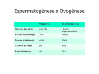 Espermatogênese x Ovogênese
Ovogênese Espermatogênese
Gametas por gônia Um óvulo Quatro
espermatozoides
Fase de multiplicação Curta Longa
Fase de crescimento Longa Curta
Acúmulo de vitelo Sim Não
Espermiogênese Não Sim
 
