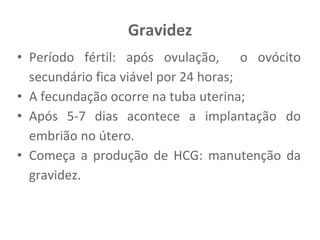 Gravidez
• Período fértil: após ovulação, o ovócito
secundário fica viável por 24 horas;
• A fecundação ocorre na tuba uterina;
• Após 5-7 dias acontece a implantação do
embrião no útero.
• Começa a produção de HCG: manutenção da
gravidez.
 
