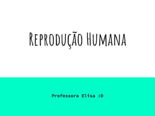 Reprodução Humana
Professora Elisa :D
 