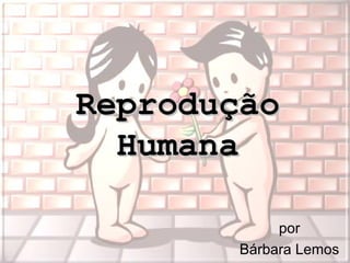 Reprodução
  Humana

            por
       Bárbara Lemos
 