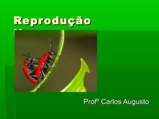 ReproduçãoReprodução
HumanaHumana
Profº Carlos AugustoProfº Carlos Augusto
 