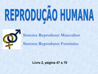 Sistema Reprodutor Masculino
Sistema Reprodutor Feminino

Livro 2, página 47 a 70

 