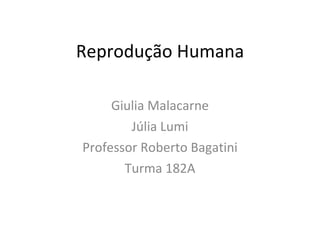 Reprodução Humana Giulia Malacarne Júlia Lumi Professor Roberto Bagatini Turma 182A 