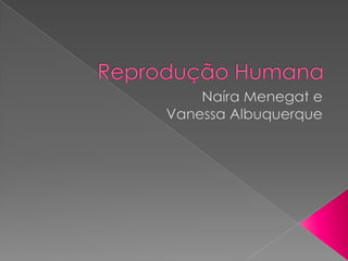 Reprodução Humana ,[object Object],Naíra Menegat e Vanessa Albuquerque,[object Object]