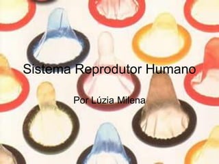 Sistema Reprodutor Humano
Por Lúzia Milena
 