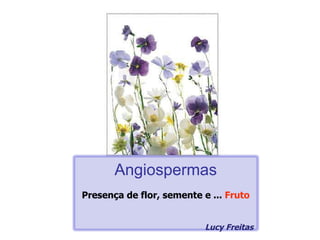 Angiospermas Presença de flor, semente e ...  Fruto Lucy Freitas 