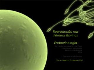 Reprodução nas
Fêmeas Bovinas

-Endocrinologia-
 Escola Superior Agrária de Viseu
         Enfermagem Veterinária
             Reprodução Animal
                            2012

          Docente: Carla Santos

 E.S.A.V.- Reprodução Animal - 2012
 