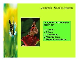 Agentes Polinizadores




 Os agentes de polinização
 Os agentes de polinização
 podem ser:
 podem ser:

   O vento;
   O vento;
   A água;
   A água;
   Os insectos;
   Os insectos;
   Algumas aves;
   Algumas aves;
   Pequenos mamíferos.
   Pequenos mamíferos.
 