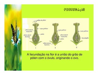 fecundação




A fecundação na flor é a união do grão de
   pólen com o óvulo, originando o ovo.
 