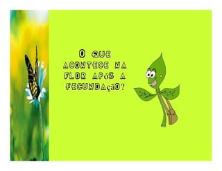 O que
acontece na
flor após a
fecundação?
 