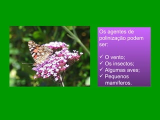 Os agentes de polinização podem ser: O vento; Os insectos; Algumas aves; Pequenos  mamíferos. 