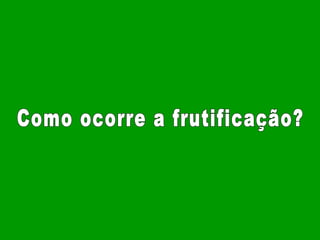 Como ocorre a frutificação?  